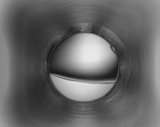 X0000096180748200801180850