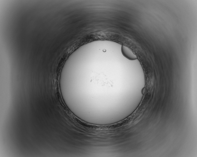 X0000096180749200801180850