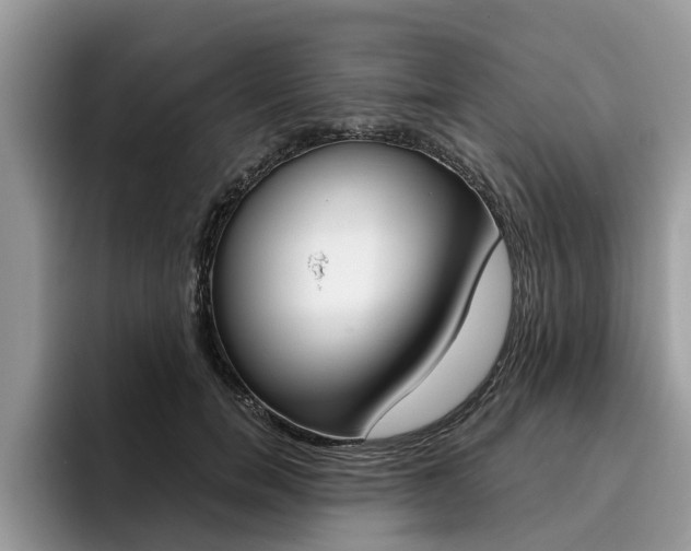 X0000096180750200801180850