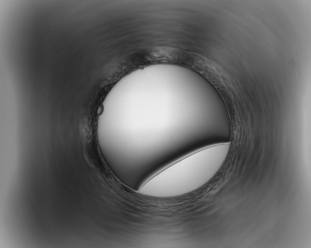 X0000096180751200801180850