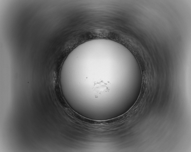 X0000096180752200801180850