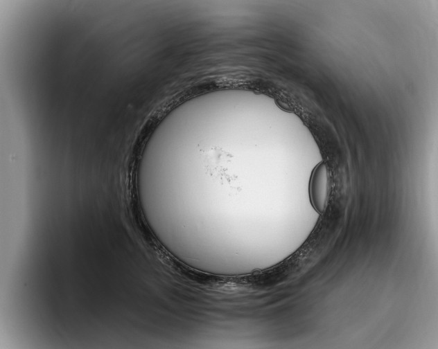 X0000096180755200801180850