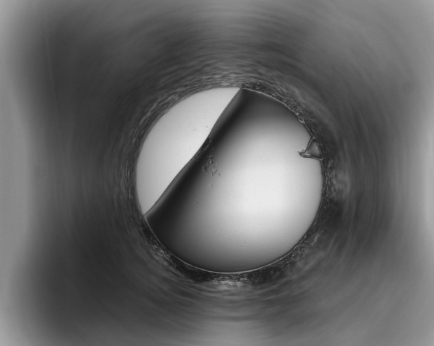 X0000096180756200801180850