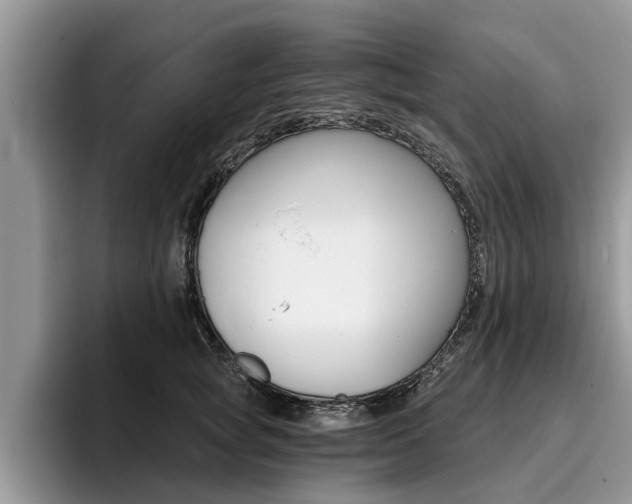 X0000096180757200801180850