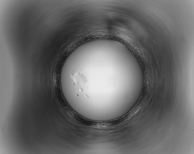 X0000096180758200801180850