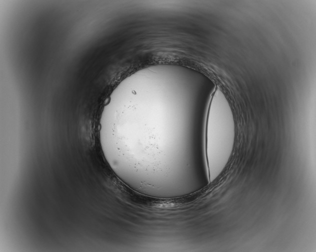 X0000096180759200801180850