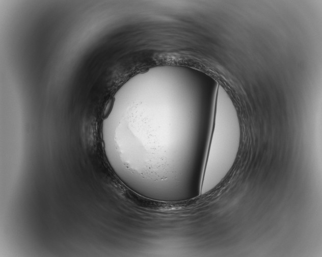 X0000096180760200801180850