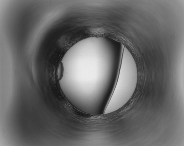 X0000096180762200801180850