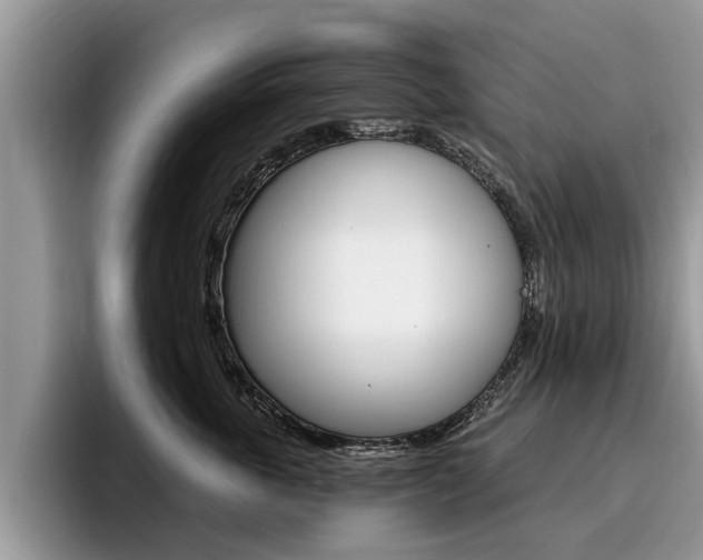 X0000096180763200801180850