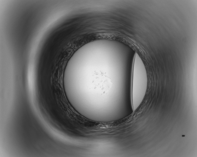 X0000096180764200801180850