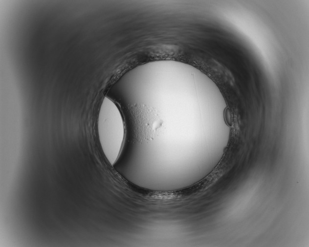 X0000096180767200801180850