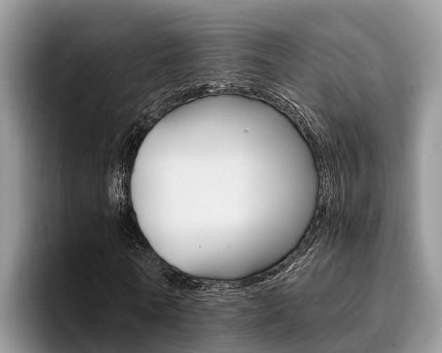 X0000096180770200801180849