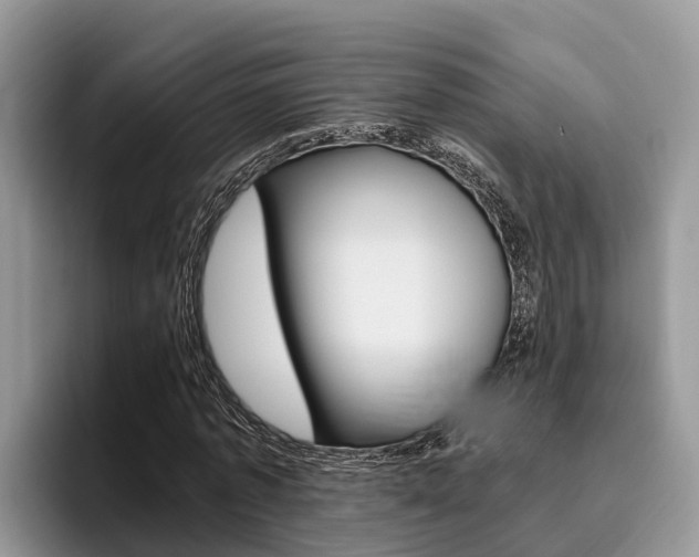 X0000096180773200801180849