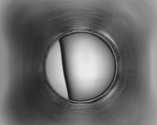 X0000096180777200801180849