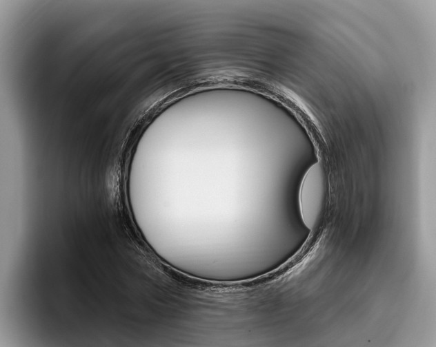 X0000096180778200801180849