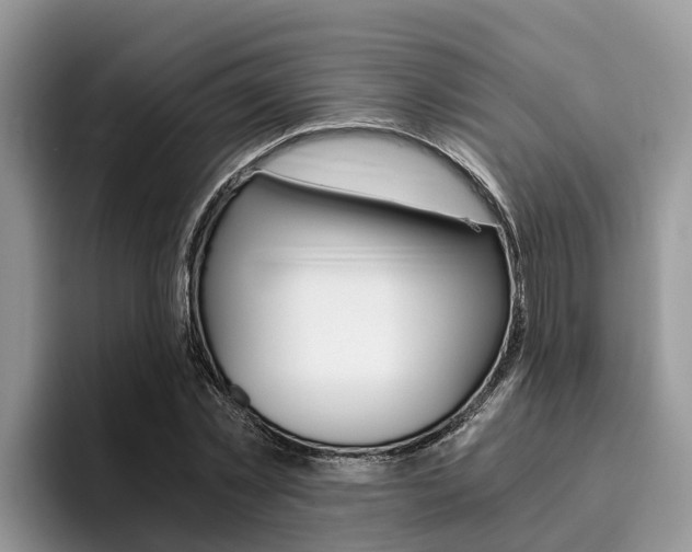 X0000096180781200801180849