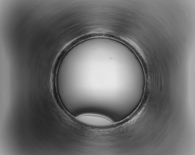 X0000096180783200801180849