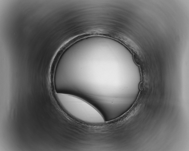 X0000096180784200801180849