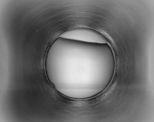 X0000096180785200801180849