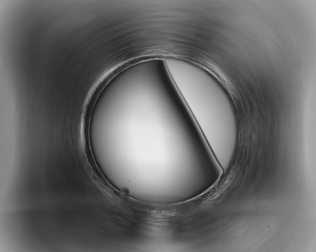 X0000096180788200801180849