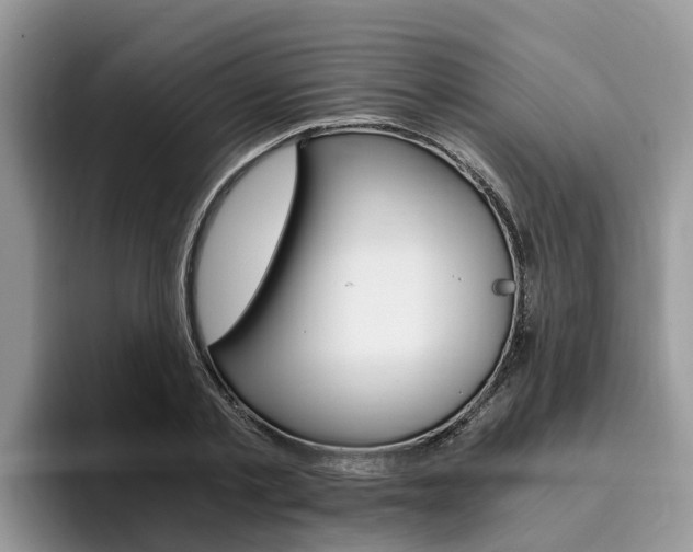 X0000096180789200801180849