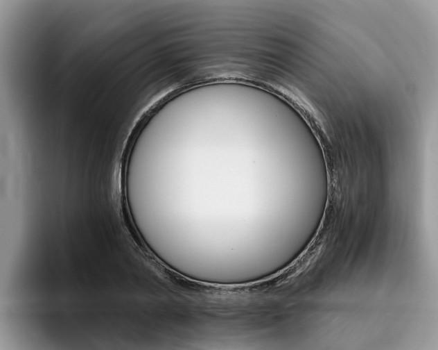 X0000096180790200801180849