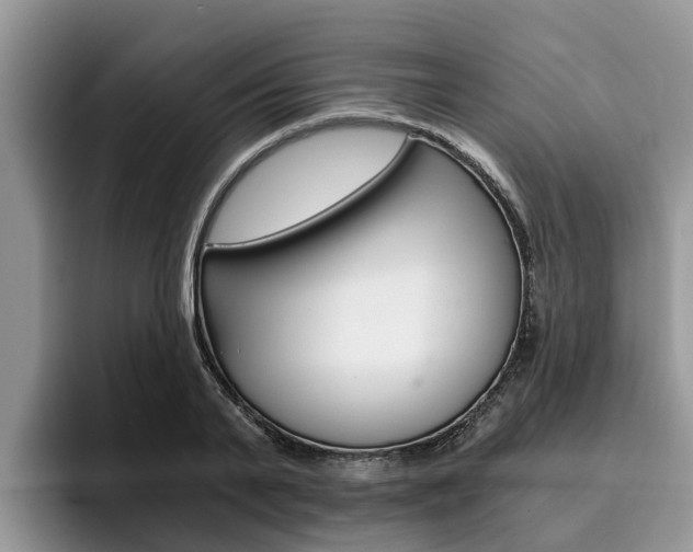 X0000096180791200801180849