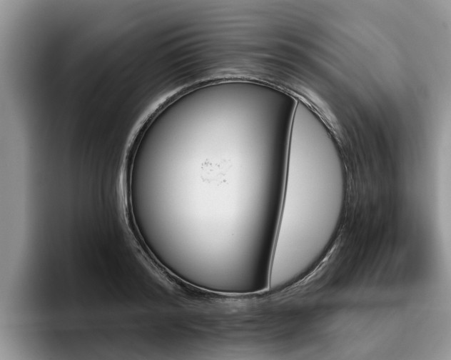 X0000096180796200801180849