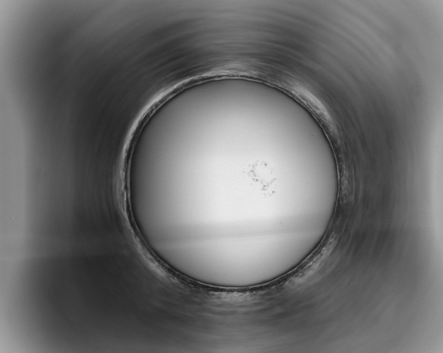 X0000096180800200801180849