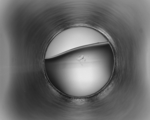 X0000096180801200801180849