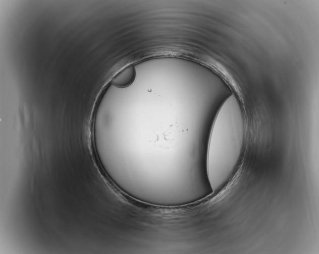 X0000096180802200801180849