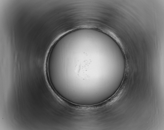 X0000096180803200801180849