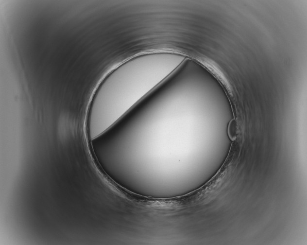 X0000096180805200801180849