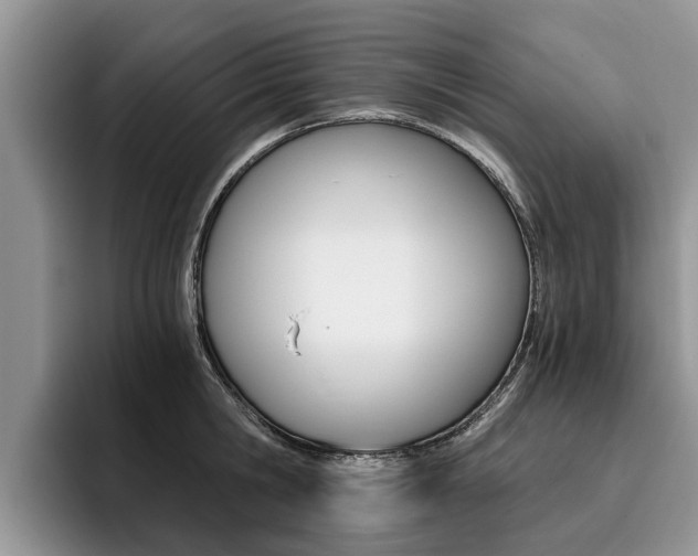 X0000096180806200801180849