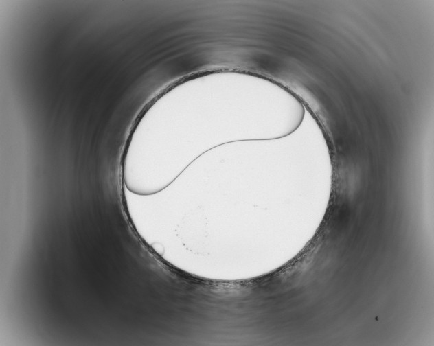 X0000096180807200801180849
