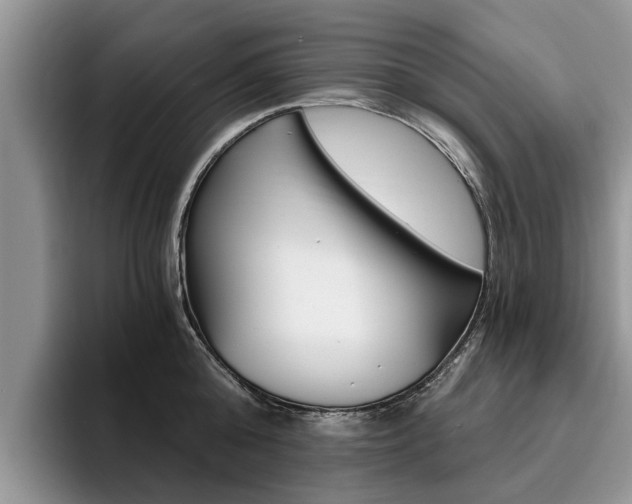 X0000096180808200801180849