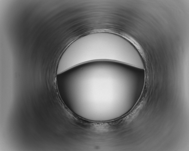 X0000096180809200801180849