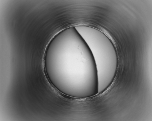X0000096180810200801180849