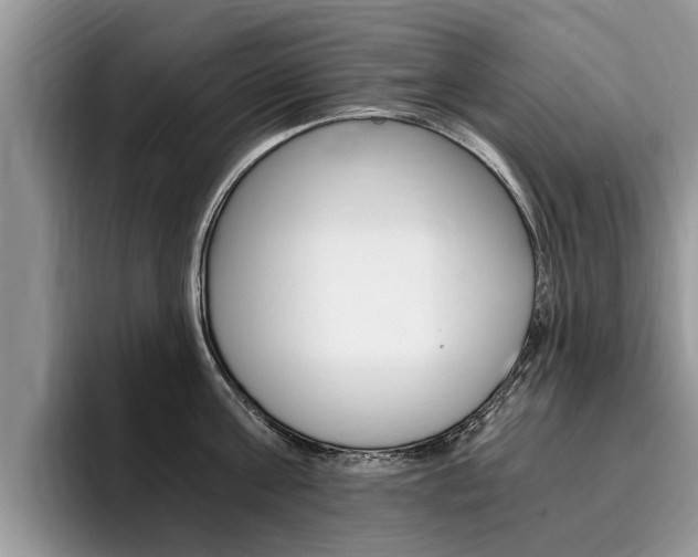 X0000096180811200801180849