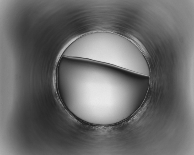 X0000096180812200801180849