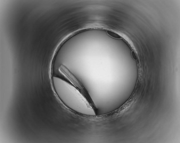 X0000096180815200801180849