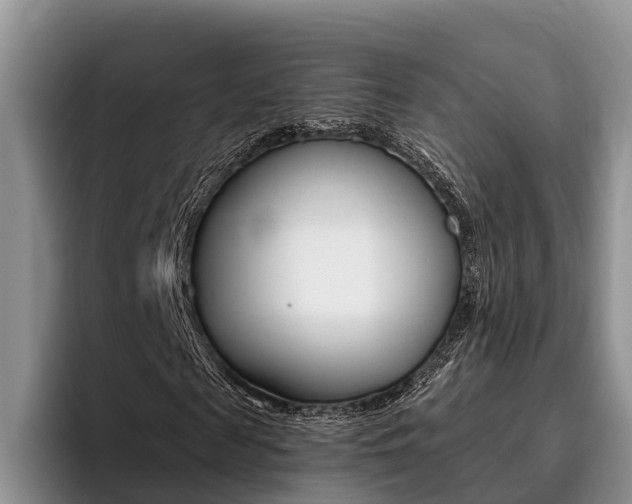 X0000096180817200801180848