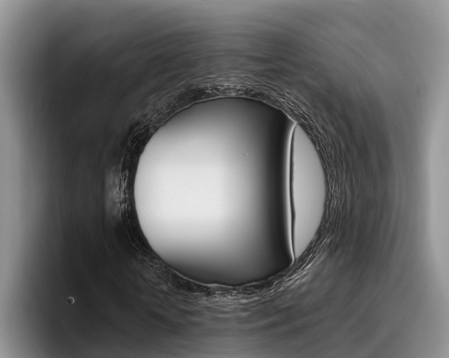 X0000096180818200801180848