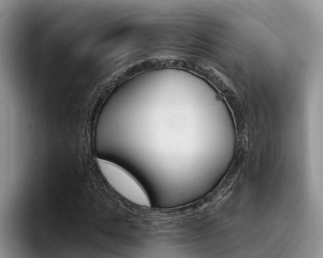 X0000096180821200801180848
