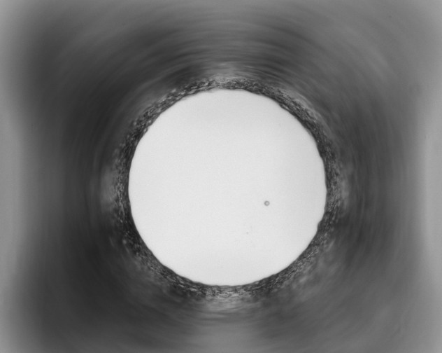 X0000096180824200801180848
