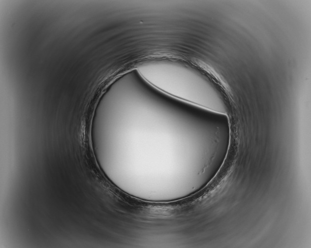 X0000096180825200801180848