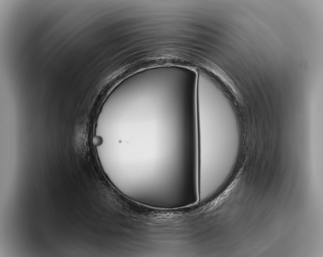 X0000096180826200801180848