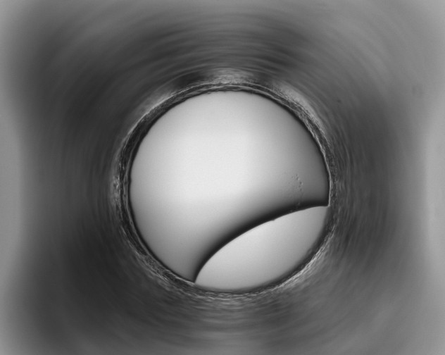 X0000096180827200801180848