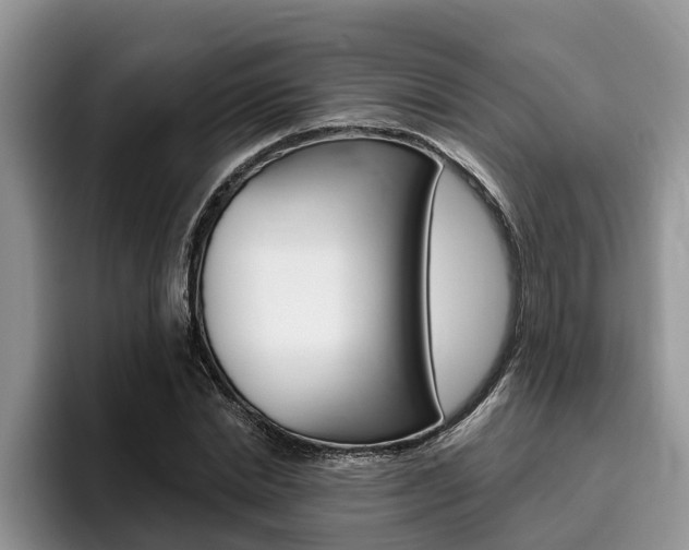 X0000096180830200801180848