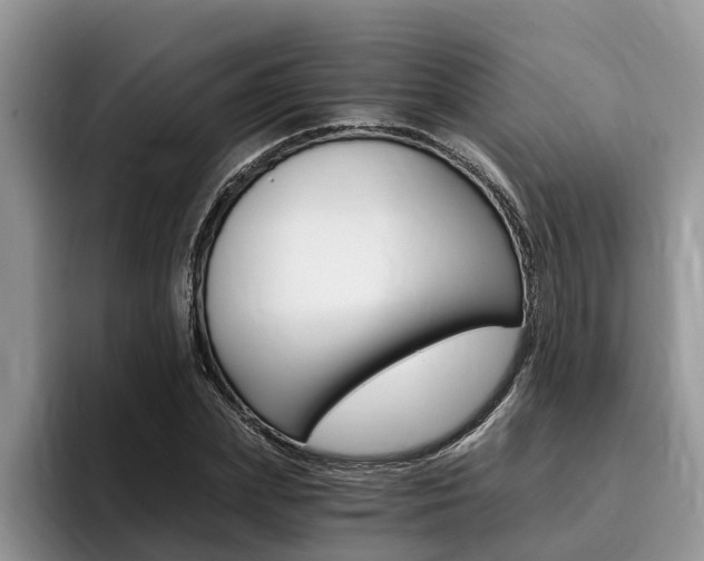 X0000096180831200801180848